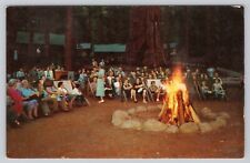 Sequoia National Park California, Evening Campfire, Vintage Postcard picture