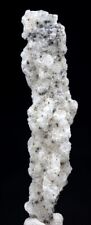 AMAZING FULGURITE Lightning Glass Sand Mineral Specimen FLORIDA picture
