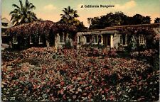 California Bungalow Flowers Beds Cancel 1915 Saint Monica PM Antique Postcard picture