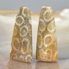 Natural Agatized Fossil Coral Cabochon Pair for Earrings Indonesia 6.07 g picture