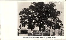 Oak Tree in Baptist Cemetery Salem NJ Undivided Unused Postcard 1905 picture