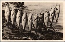 c1930s DETROIT LAKES, Minnesota RPPC Photo Postcard 