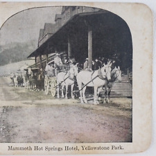 Mammoth Hot Springs Hotel Stereoview c1905 Yellowstone Park Horse Team Art B1534 picture