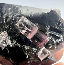 F/Well Terminated Transparent Pink Tourmaline Crystals On Quartz @AFG. 157 Carat picture