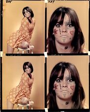 LAE4 Orig Color Contact Sheet Photo BEAUTIFUL HIPPY CHICK FACE PAINT FLOWER LOVE picture