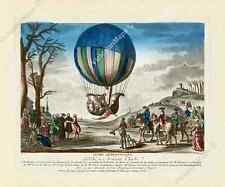 First Hydrogen Balloon flight landing in France print J. Chereau 1783 art poster picture