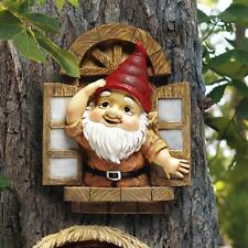 Trees of the Forest Knothole Window Gnome Welcoming Woodland Tree Sculpture picture