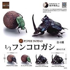 Animalier Collection Dung Beetle Mascot Capsule Toy 4 Types Full Comp Set Gacha picture