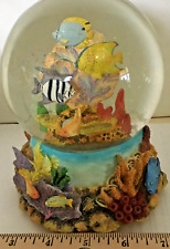 National Geographic Tropical Fish Waterglobe picture