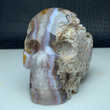 407g Natural Crystal Specimen. Geode agate. Hand-carved. Exquisite Skull.GIFT.VH picture