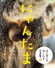 Nyantama Cat Testicles Photo Book Tankobon Softcover Yoshizawa Rumiko JAPAN picture