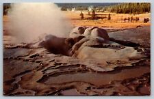 OLD FAITHFUL CONE  YELLOWSTONE NATIONAL PARK WYOMING VTG WY POSTCARD picture