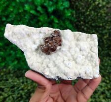 Natural Rare Dark Brown Calcite on Base Mineral Specimen #E33 picture