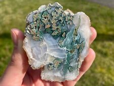 Petrified Wood Agatized Limb Cast Oregon Mineral Specimen Moss Agate Crystals picture