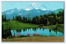 c1960's Mount Rainier & Tipsoo Lake near Chinook Pass Washington WA Postcard picture