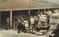 Chas. Weidner Postcard; San Francisco CA, Longshoremen Shipping Wheat at Docks picture