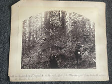 1900s pacific northwest photo corvallis OREGON forest agent OC YOKUM E PORTALND picture