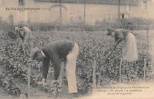 CPA 51 LA VIE EN CHAMPAGNE / RECONSTRUCTION OF THE VINE BY THE AMERICAN PLANT picture