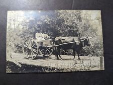 Mint USA RPPC Postcard Bull Wagon The Lightning Express Fairhope AL picture
