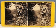 1870s Hot Springs North Carolina NC FRENCH BROAD RIVER Franklin & Co Stereoview picture