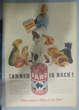 Pard Dog Food Ad: Canned Pard is Back  from 1947 Size: 11 x 15 inches picture