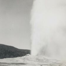 Yellowstone Park Old Faithful Geyser Eruption 1930s Erupting Stereoview H152 picture