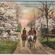 c1910s Southern Pines, N.C Springtime Dogwood Trees Nice Hand Colored Hayes A202 picture