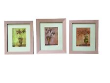 3 pink Framed Flower photo 14X12” picture