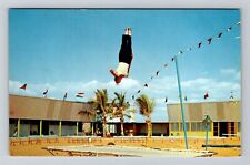 Sarasota FL-Florida, Circus Hall of Fame, Trampoline, Vintage Postcard picture