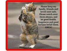 Funny Humor Cat Praying  Refrigerator Tool Box Magnet Gift Card Insert picture