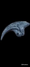 Allosaurus fragilis manual claw (hand claw ) cast replica picture
