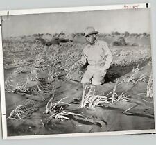 LUBBOCK TEXAS FARMER N McMahan In Field After SANDSTORM Drought 1957 Press Photo picture