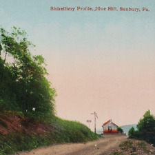 Blue Hill Shikellimy Sunbury Postcard c1910 Pennsylvania Vintage Street Art H471 picture
