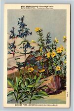 Canada Glacier Park Waterton Lakes National Park Flowers, Vintage Linen Postcard picture