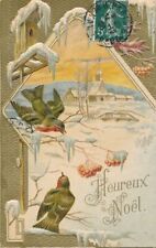 CHRISTMAS - Birds and Lots Of Snow Heureux Noel Happy Christmas Postcard - 1908 picture
