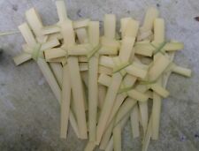 DON'T WAIT ORDER NOW  100 sm FRESH Palm Bud Crosses MADE IN FLORIDA  3day ship picture