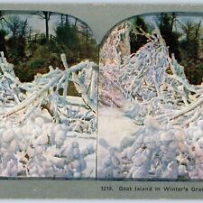 c1900s Niagara Falls Goat Island in Winter Litho Photo Stereo Card Whitney V8 picture