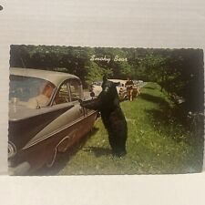 RPPC Black Bear Begging  1950’s Cars Real Photo Postcard Smokey Mountains Tn picture