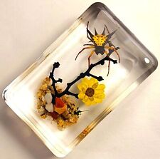 44mm Real Spiny Spider on Brazil Star Flower in Crystal Clear Lucite Resin Ga... picture