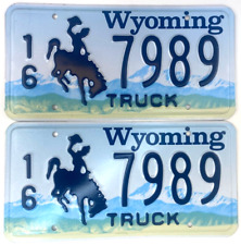 Wyoming 1992 Natural License Plate Set Vintage Truck Johnson Co Cave Collector picture