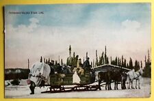Vintage Postcard 1900 Photo ￼ Fairbanks, Alaska Valdes Stage Line Horses ￼Sleigh picture