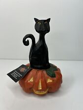 Coyne’s & Company Halloween Black Cat Pumpkin Jack O’ Lantern David Frykman picture