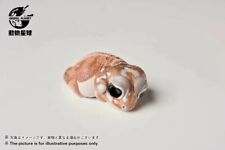 【In-Stock】Animal Heavenly Body Nephrurus Levis Knob-tailed Gecko Statue picture