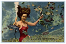 c1950's Scene of Fishes at Weekiwachee Spring Underwater Theatre FL Postcard picture