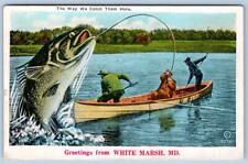 1934 GREETINGS FROM WHITE MARSH MD EXAGGERATED FISH THE WAY WE CATCH THEM HERE picture