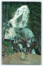 c1950's View Of Skalkaho Falls In The Bitter Root Valley Montana MT Postcard picture