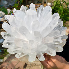 14.6LB Newly discovered white Phantom Quartz Crystal Cluster mineral samples picture
