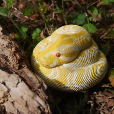 【In-Stock】 Animal Heavenly Body Albino Burmese Python molurus Snake Statue picture