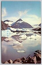Portage Glacier Alaska Gordon Munger Postcard picture