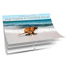 For Funny Dog Pooping Calendar 2023 Monthly Wall Hanging Calendar Animals Gag picture